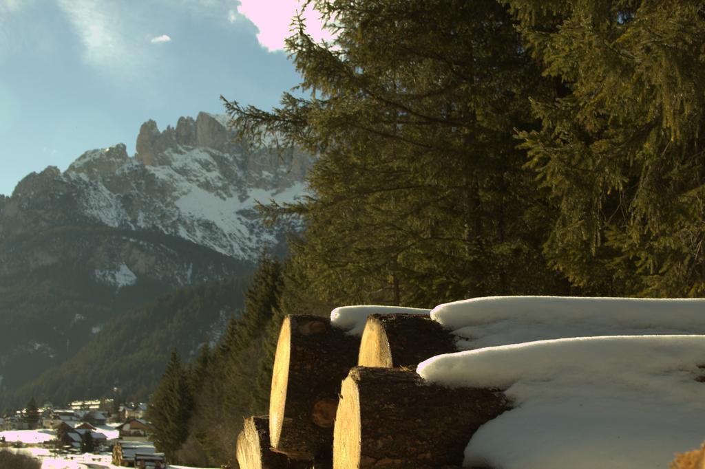 Appartamento Niki Campitello Campitello di Fassa Exterior foto
